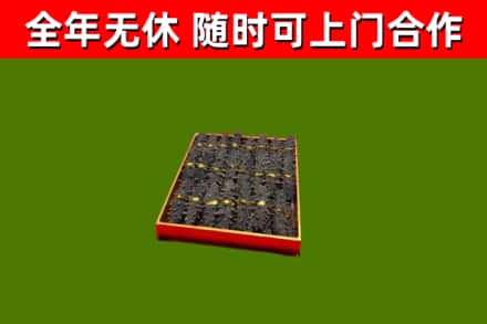 吕梁回收海参